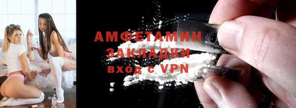 стаф Алзамай