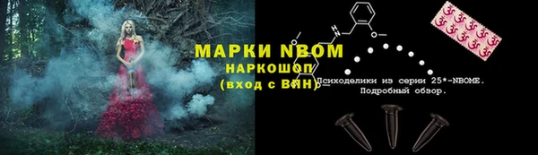 ГАЛЛЮЦИНОГЕННЫЕ ГРИБЫ Алексин