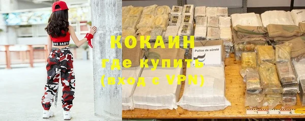 стаф Алзамай