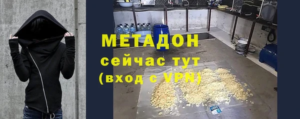 стаф Алзамай