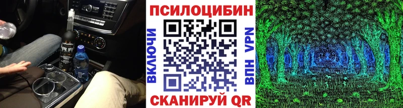Галлюциногенные грибы MAGIC MUSHROOMS  где найти наркотики  Ессентукская 