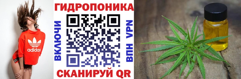 Марихуана план  Ессентукская 